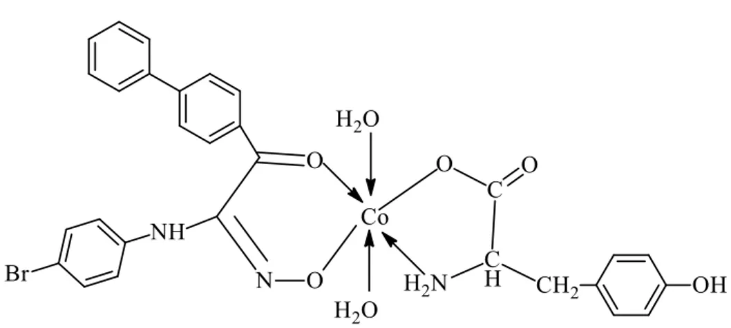 Şekil 3.12. [CoL(tyr).2H 2 O] kompleksinin yapısı 