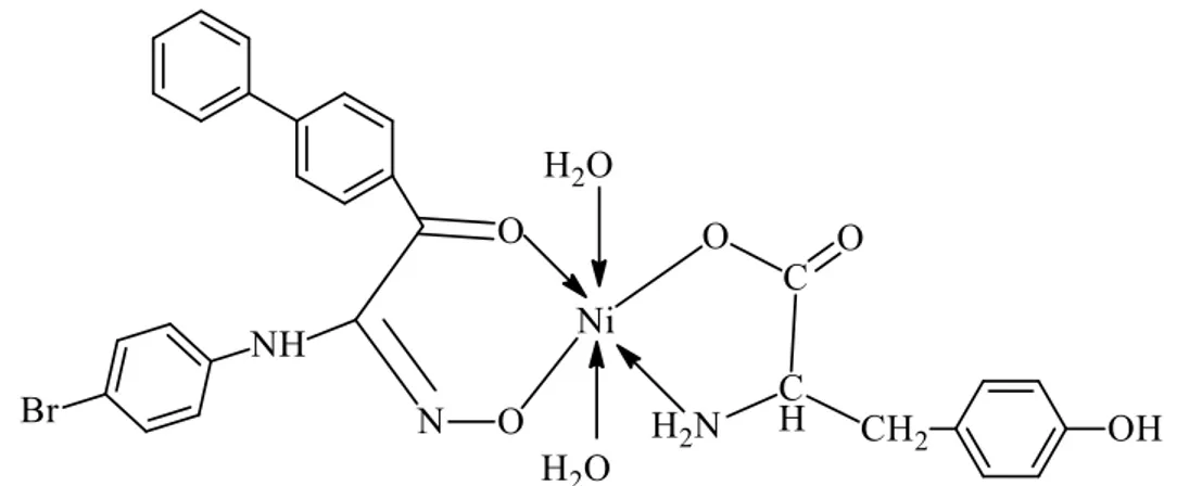 Şekil 3.14. [NiL(tyr).2H 2 O] kompleksinin yapısı 