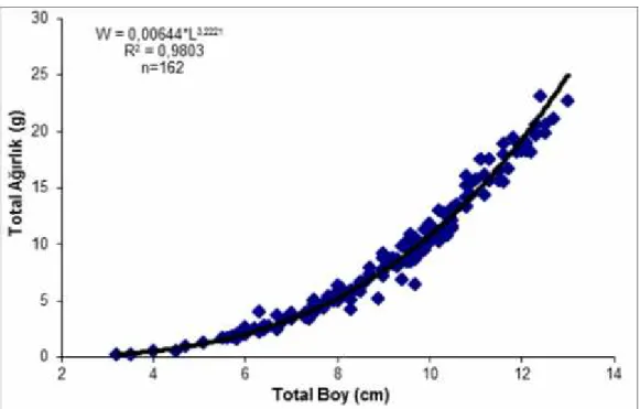 Şekil  4.8. Aras  Havzası Alburnoides eichwaldii akarsu popülasyonuna ait boy-ağırlık ilişkisi grafiği