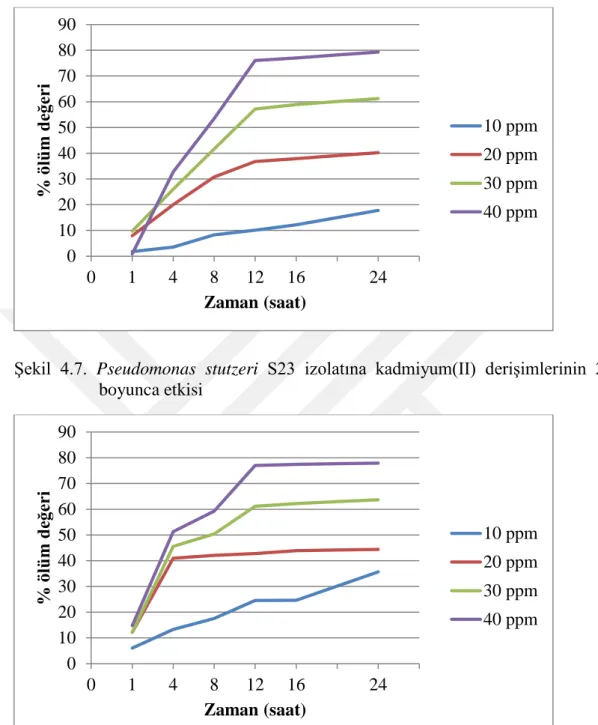 Şekil  4.7.  Pseudomonas stutzeri  S23  izolatına  kadmiyum(II)  derişimlerinin  24  saat                boyunca etkisi 