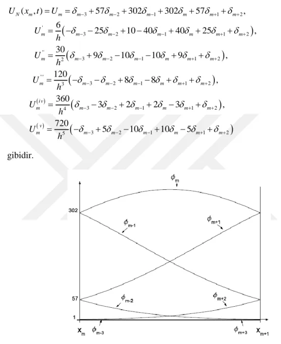 Şekil 1.8. Sektik B-spline Şekil Fonksiyonları  1.3.7  Septik B-Spline Fonksiyonlar 