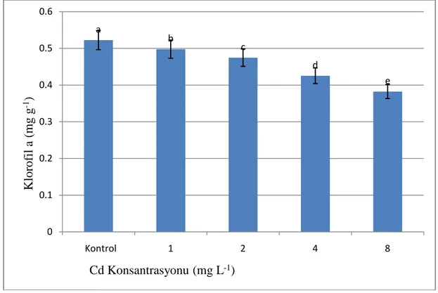 Şekil 4.12. Cd (1-8 mg L -1 ) uygulanmış Salvinia natans örneklerindeki klorofil a  miktarı ve standart hata değerleri (mg g -1 yaş ağırlık, n=3) 