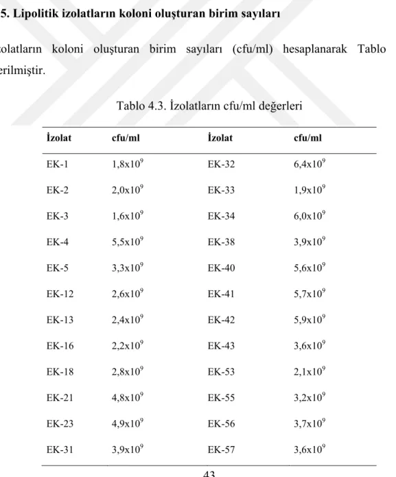 Tablo 4.3. İzolatların cfu/ml değerleri  