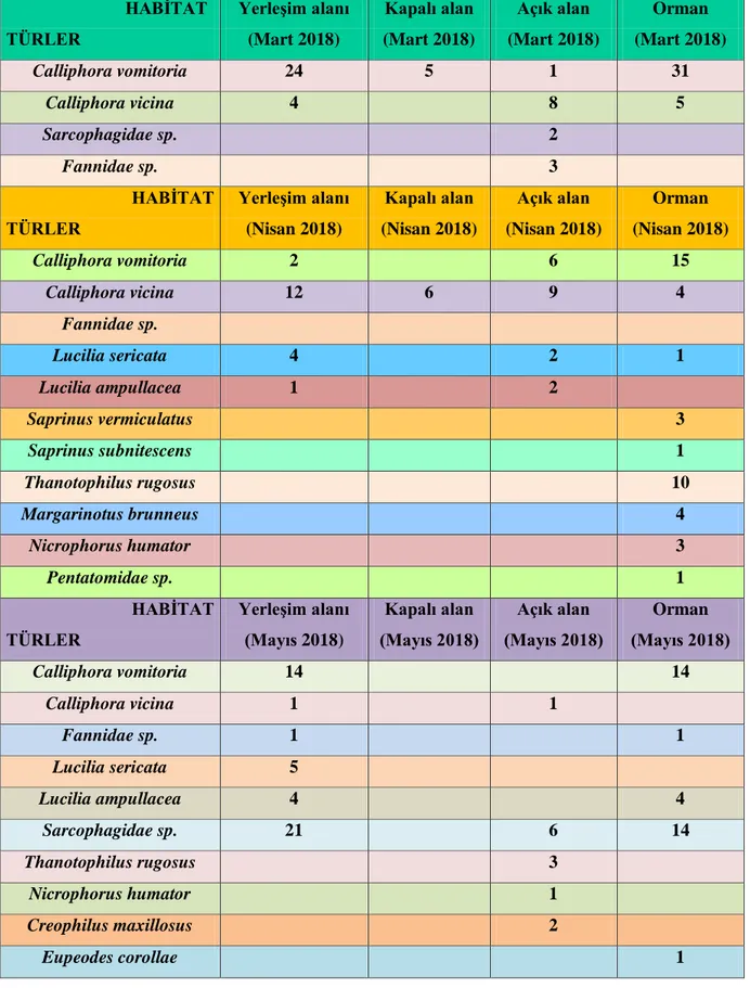 Tablo 5.2. Türlerin Ġlkbahar mevsimi dağılımları 