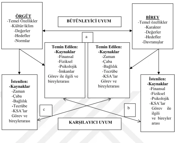 Şekil 1.3. Birey-Örgüt Uyumu ile İlgili Çeşitli Kavramların Uyumlaştırılması  Kaynak: (Kristof, 1996: 4)