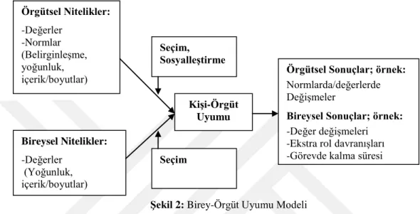 Şekil 2: Birey-Örgüt Uyumu Modeli 