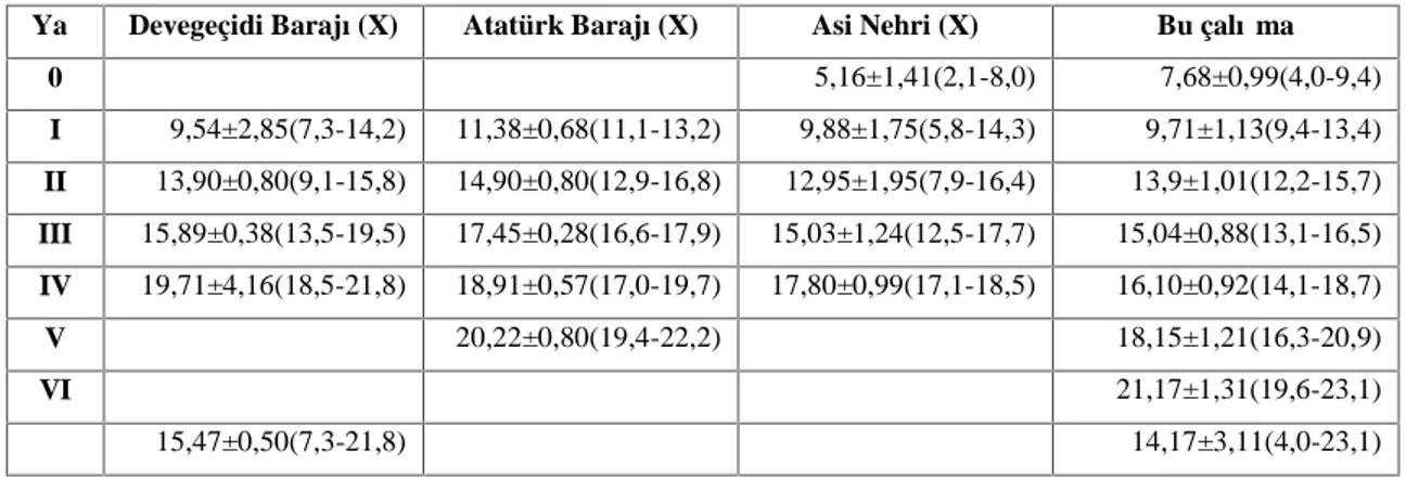 Tablo  4.3. Planiliza  abu popülasyonlarına  ait boy  dağılımı  ve ortalama  boy  değerleri (cm)