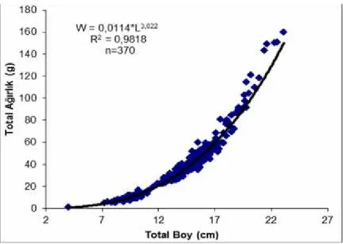 Şekil  4.6. Ceyhan  Havzası Planiliza  abu akarsu popülasyonuna ait  boy-ağırlık  ilişkisi grafiği