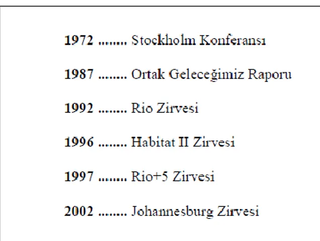 Şekil 3-Sürdürülebilir kalkınma için uluslararası platformlarda atılan adımlar