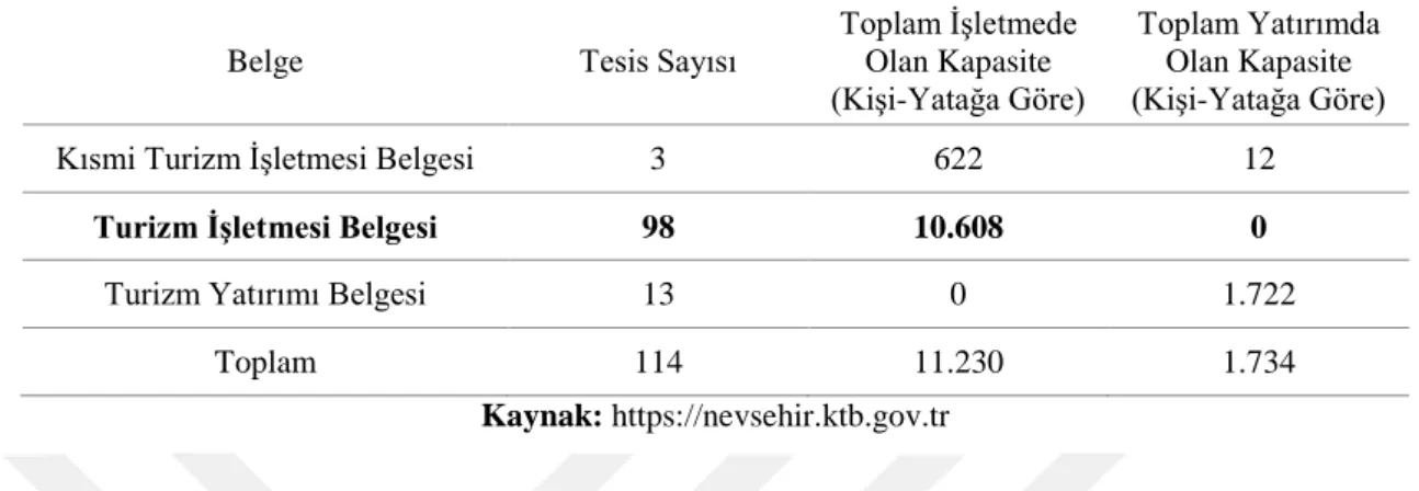 Tablo 6. Nevşehir İl Kültür ve Turizm Müdürlüğü İşletme Sayıları (2019)