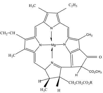 Şekil 2.2. Klorofil molekülü 