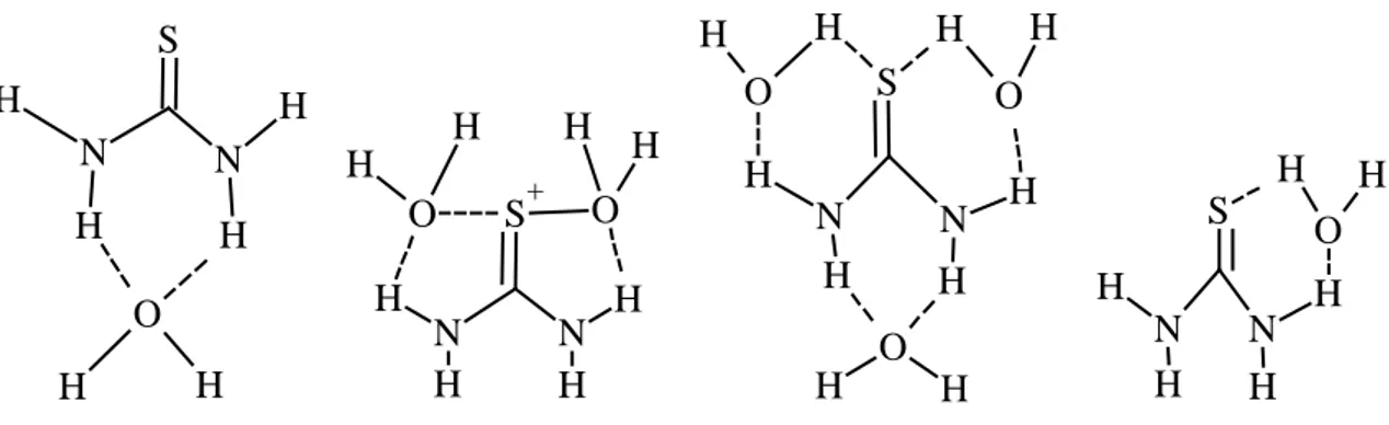 Şekil 1.3. Tiyoürenin su ile yaptığı hidrojen bağları 
