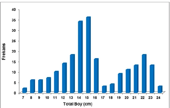 Şekil  4.1.  Çıldır  Gölü  Acanthobrama  microlepis  popülasyonuna  ait  total  boy-frekans  dağılımı 