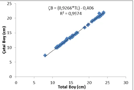 Şekil 4.3. Çıldır Gölü Acanthobrama microlepis popülasyonuna için total boy-çatal boy  ilişkisi 
