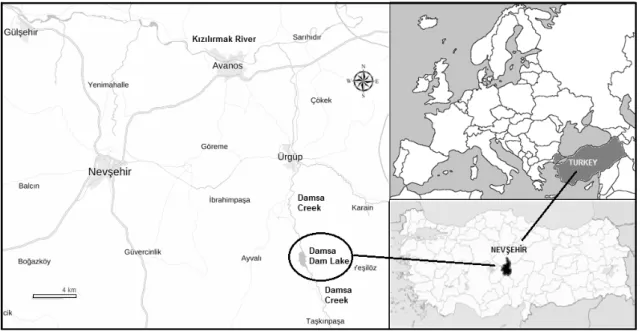 Şekil 3.1.Damsa Baraj Gölü 
