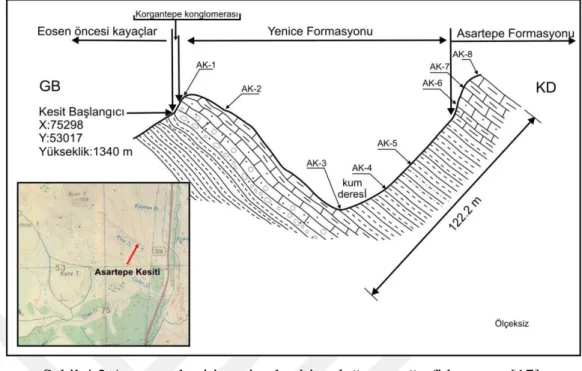 Şekil 4.2 Asartepe kesitin enine kesiti taslağı ve coğrafi konumu [17]. 
