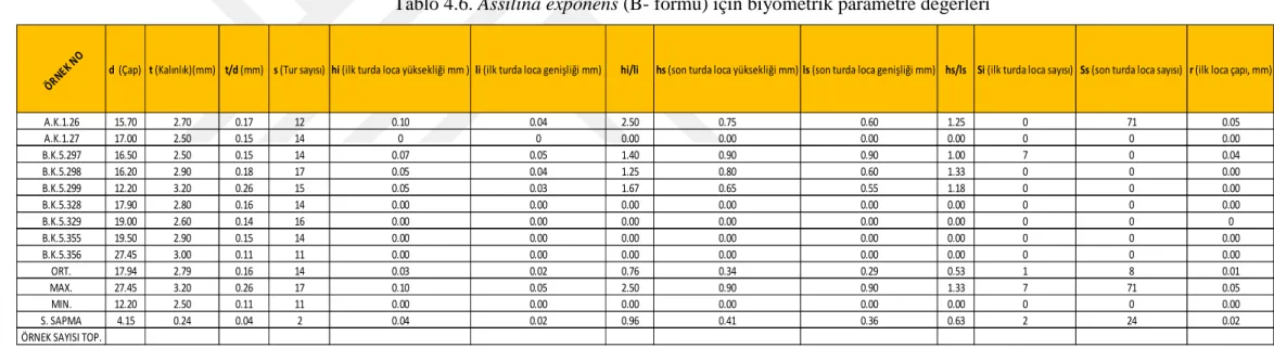Tablo 4.6. Assilina exponens (B- formu) için biyometrik parametre değerleri 