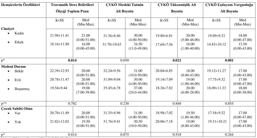 Tablo 4.5. Hemşirelerin Bazı Özelliklerine Göre Ölçeklerden Aldıkları Puanların Dağılımları (n=260) 