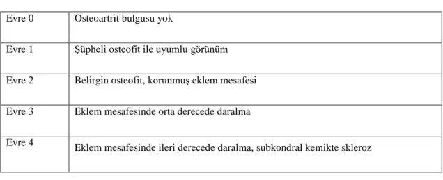 Tablo 2.1. Kellgren ve Lawrence radyolojik evreleme skalası 