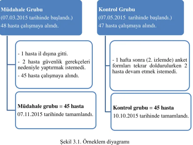 Şekil 3.1. Örneklem diyagramı 