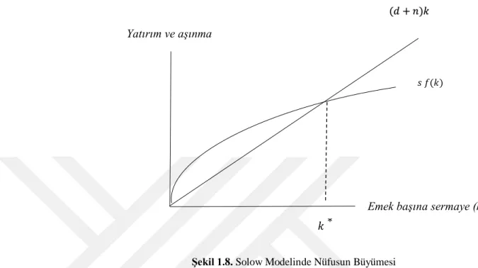 Şekil 1.8. Solow Modelinde Nüfusun Büyümesi