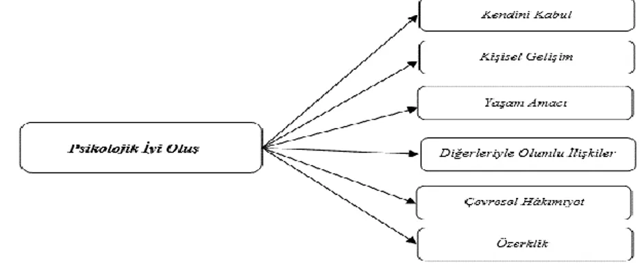 Şekil 1. Psikolojik İyi Oluşun Bileşenleri (Cenkseven, 2004: 7)  Yukarıdaki  şekilde  görüldüğü  üzere  Ryff  (1989),  psikolojik  iyi olmanın altı boyutundan bahsetmiştir ve modelde belirlenen  boyutlarda  yeterliliği  sağlayan  kişiler  psikolojik  olara