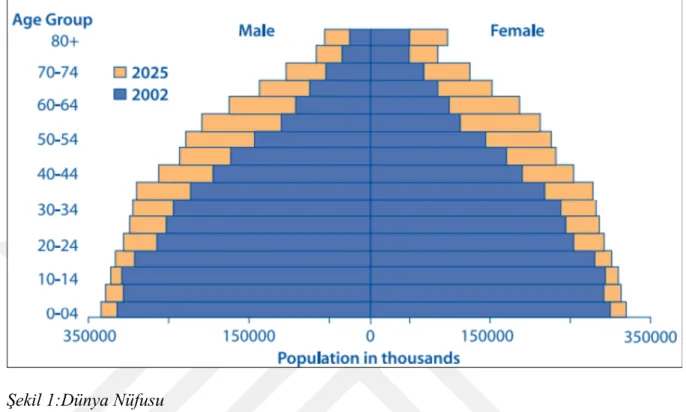 Şekil 1:Dünya Nüfusu 