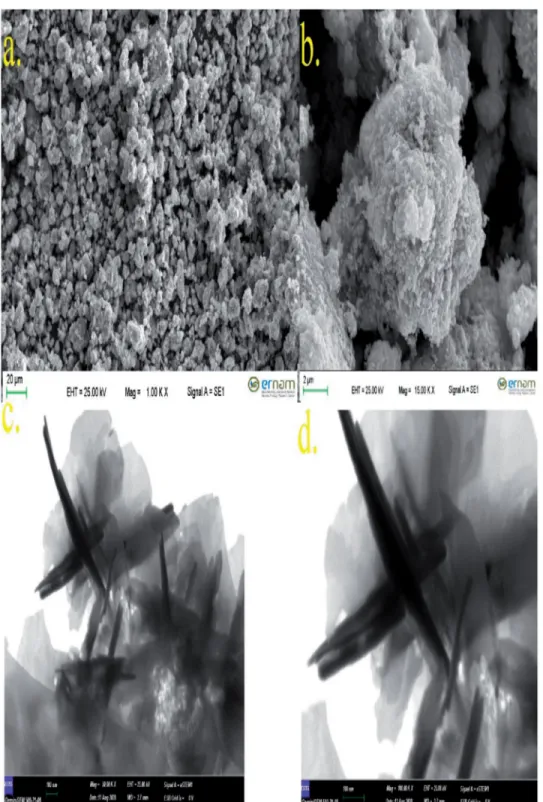 Figure 1. SEM (a,b) and FESEM images (c,d) of CuO NPs (Magnifications: a: 1000 , b: 15,000, c: 50,000, and d: 100,000)