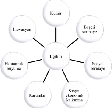 Şekil 1: Eğitimin Ekonomi Üzerindeki Etkisi 