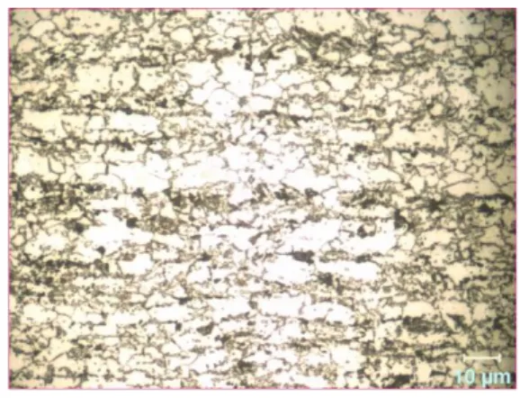 Figure 1. Microstructure of DP600 steel 