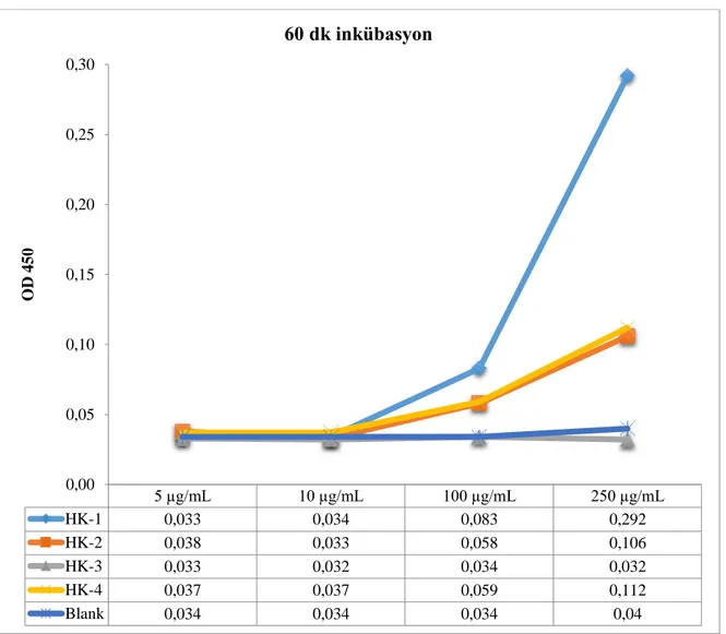 Şekil 8. Direkt ELISA yönteminde farklı konsantrasyonlarda HK kullanılarak 60 dk’lık inkübasyon sonucu elde edilen optik  yoğunluk değerleri  