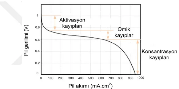 Şekil 2.8.  PEM yakıt hücresinin gerilim-akım karakteristiğinin şematik gösterimi [44]  PEM yakıt hücreleri, 70- 80  ° C sıcaklık ve yaklaşık olarak ~% 100 bir zar nemliliği, 3-5  atm kısmi basınç altında ideal çalışırlar [44,47]