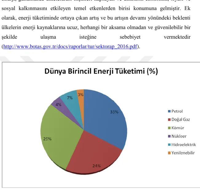 Grafik 1.1 Dünya Birincil Enerji Tüketimi (%) 