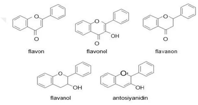 Şekil 2.4’de Flavanoidlerin genel kimyasal yapısı gösterilmiştir [32]. 