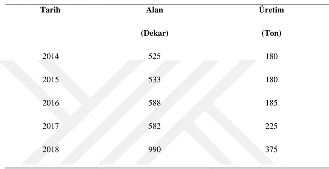 Tablo  2.3’de  Türkiye’de  son  beş  yıllık  yaban  mersini  (mavi  yemiş)  üretimi  gösterilmiştir (TÜİK)