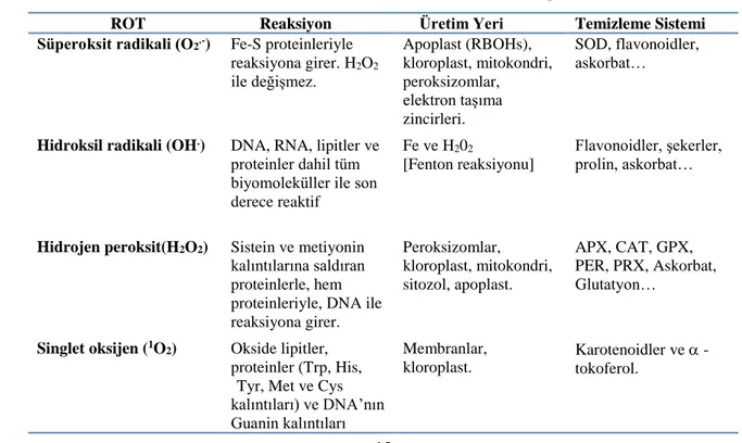 Tablo 2.5. ROT’ un özellikleri ve reaktivitesi [33] 