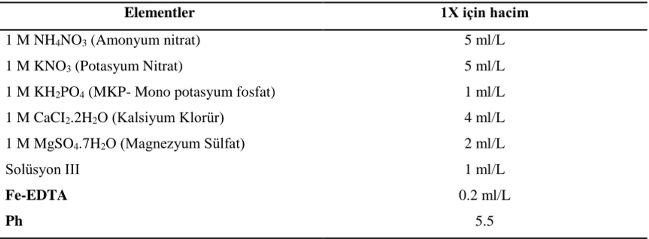 Tablo 3.1. 1X Hoagland besin çözeltisi içeriği 