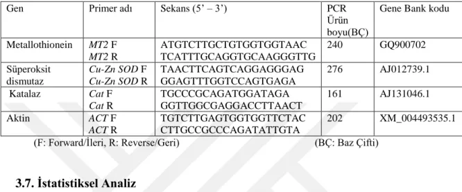Tablo  3.4.  Real  time PCR reaksiyonunda kullanılan primer sekansları,  ürün boyları ve  accession kodları 