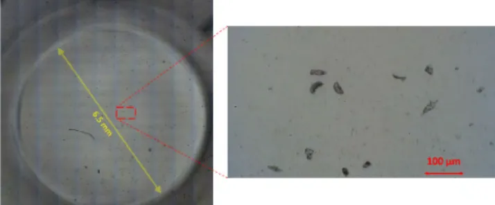FIGURE 16. The acquired and zoomed images from well C4 of a 96-well plate. The image is acquired after well is filled with a drop of drinking water and a finger is tipped into it
