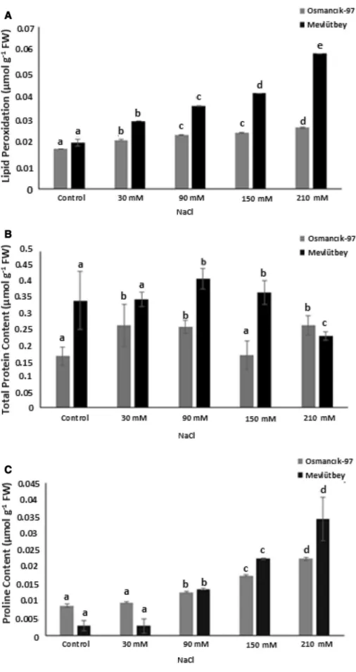 Fig. 1 Lipid peroxidation (a), total protein content (b) and proline content (c) changes of Osmancık-97 and Mevlu¨tbey rice varieties under 0, 30 mM, 90 mM, 150 mM and 210 mM NaCl stress