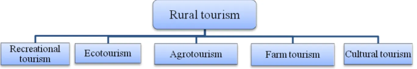 Figure 2: Typology of rural tourism 