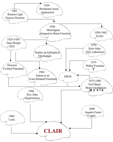 Fig. 13. This historical chart illustrates the developmental steps from Cajal to Brodmann and Sherrington during the area of Neuron Doctrine