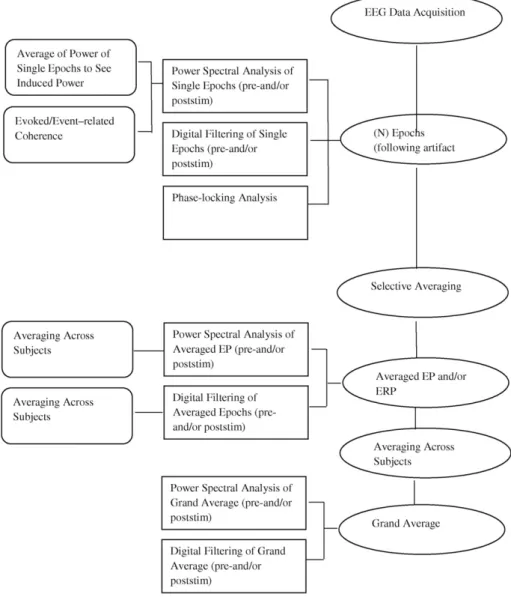 Fig. 3 illustrates a more advanced version of the Biological Systems Analysis and Brain Dynamics Research Programs, with the methods of thought or research principles being separately displayed