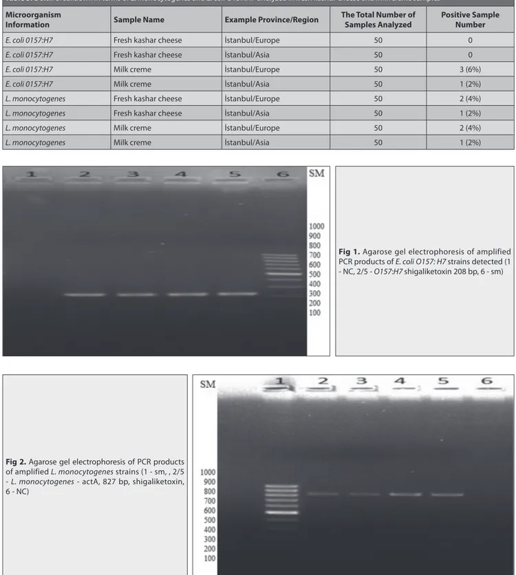 Table 3. Detail breakdown in terms of L. monocytogenes and E. coli O157:H7 analyzed in fresh kashar cheese and milk creme samples Microorganism 