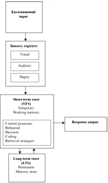 Fig. 3. Structure of memory. (Modiﬁed from Atkinson, R.C. and Shiffrin, R.M. (1968), in The Psychology of Learning and Motivation: Advances in Research and Theory, Spence, K.W., Ed., Academic Press, New York, p.195).