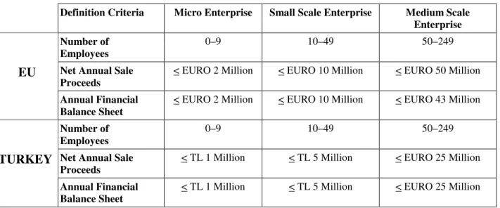 Table 2.1. Definition Of SME in Turkey And In The EU 