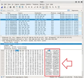 Fig. 6. UDP packet before encryption mechanism
