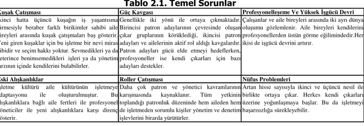 Tablo 2.1. Temel Sorunlar 