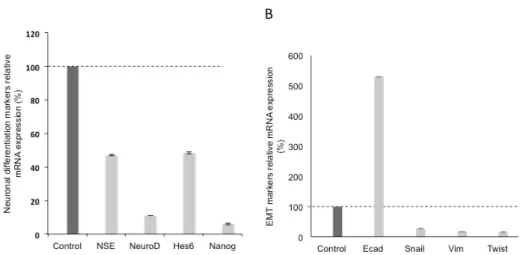 Figure 2. Wnt-11 promotes epithelial-mesenchymal transition (EMT) and neuronal differentiation in  Panc-1 cells line