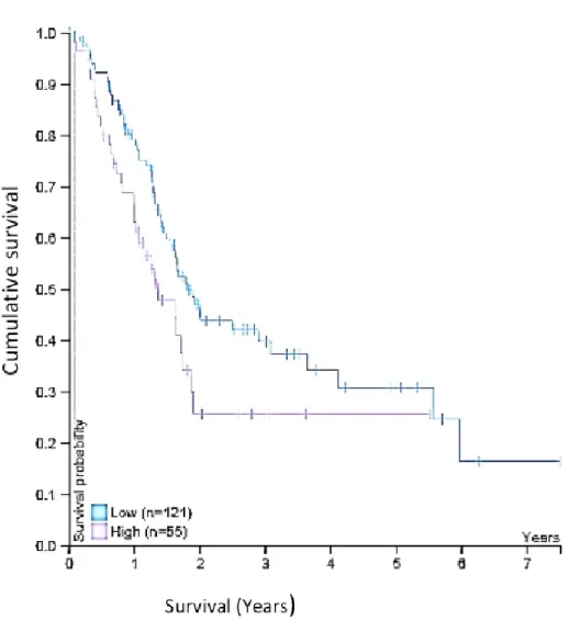 Figure 5. A survival curve gained from Human Protein Atlas shows that a high expression of Wnt-11  reduces cumulative survival of PDAC